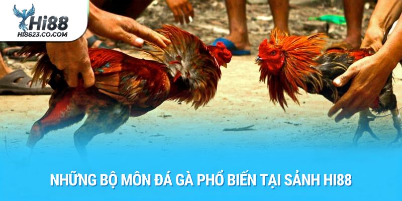 Đá Gà Hi88 - Đỉnh Cao Giải Trí Cá Cược Đá Gà Trực Tuyến Hàng Đầu 3 Những bộ môn đá gà phổ biến tại sảnh Hi88