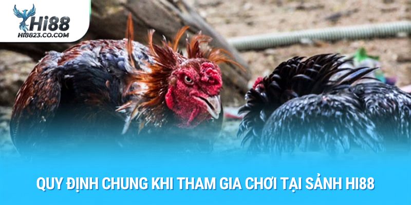 Đá Gà Hi88 - Đỉnh Cao Giải Trí Cá Cược Đá Gà Trực Tuyến Hàng Đầu 2 Quy định chung khi tham gia chơi tại sảnh Hi88